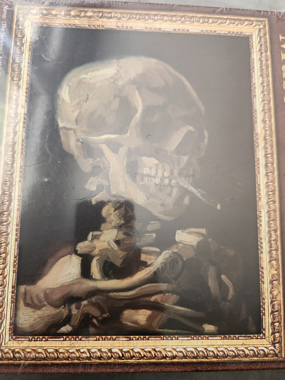 NWT - The Skeleton by Vincent Van Gogh Puzzle 1000 pieces Museum Collection